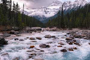 Yoho National Park, Canada van Colin Bax