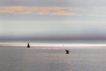 Zonnestralen en zeiljacht op zee van Anne Zwagers