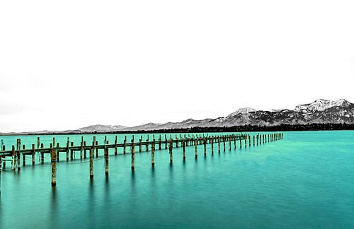Chiemsee groen