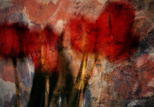 Tulipes rouges sur Ellen van Deelen