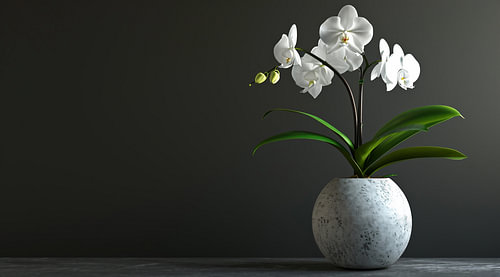 Romantic still life