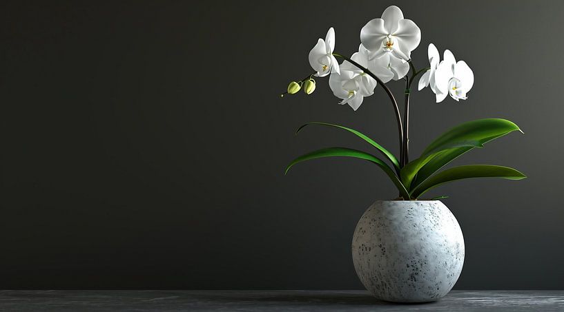 Romantisch stilleven van fernlichtsicht