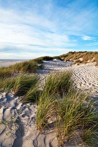 Traumhafte dänische Küste mit Sanddünen