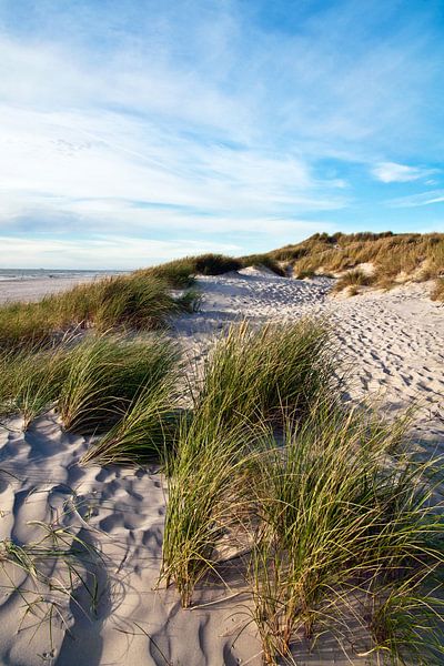 Fantastische Deense kust met zandduinen van Silva Wischeropp