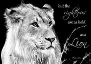Spreuken 28:1 de rechtvaardige is moedig als een leeuw van Heleen van de Ven thumbnail