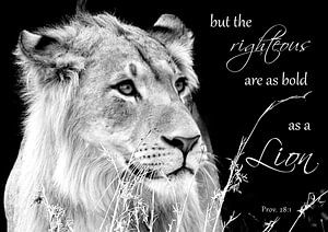 Proverbs 28:1 but the righteous are as bold as a lion