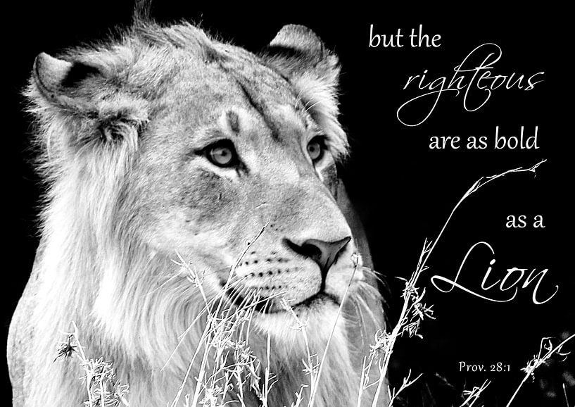 Spreuken 28:1 de rechtvaardige is moedig als een leeuw van Heleen van de Ven