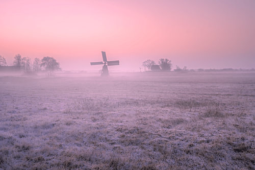Pastel-coloured morning light over a frozen field in the Weerribben in Overijssel