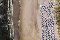 Strand mit Strandkörben in Albeck auf Usedom an der Ostsee von Werner Dieterich Miniaturansicht