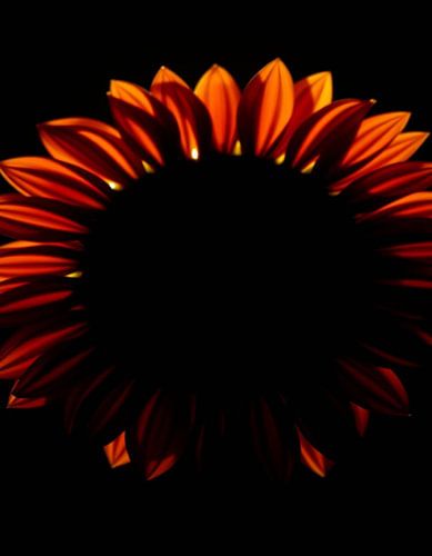 Ember Sun VII