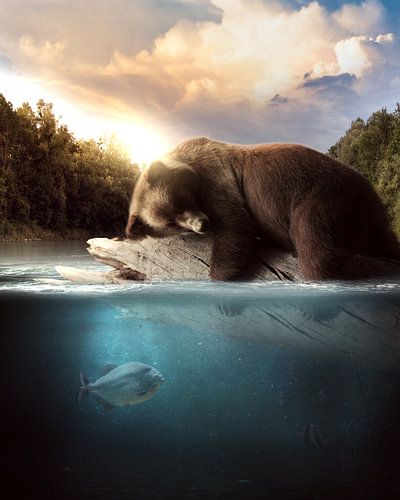 Der schlafende Bär