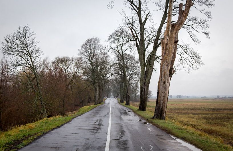 Petite route à travers la campagne lituanienne par Julian Buijzen