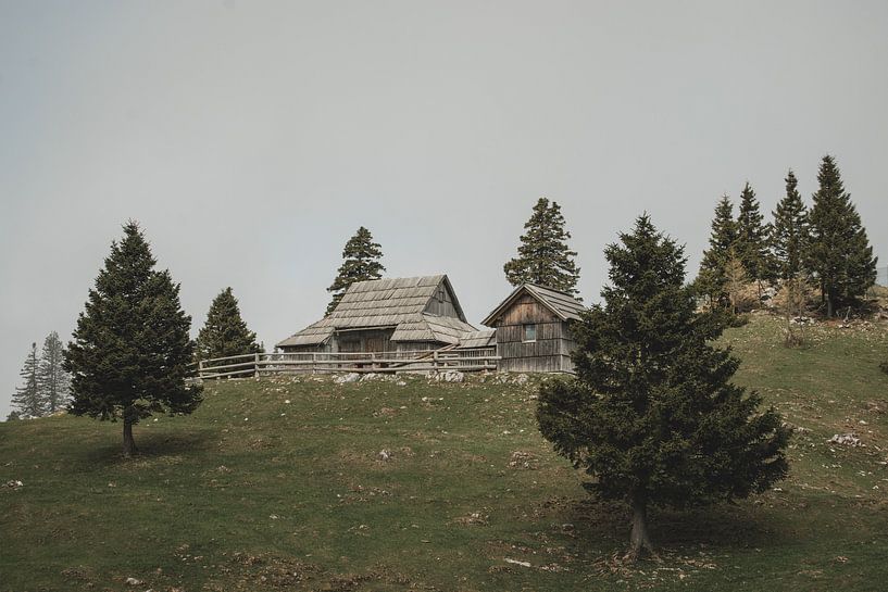 Farm on Velika Planina by Paulien van der Werf