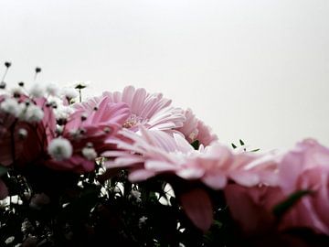 Bos bloemen (Roze)