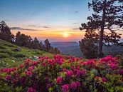 Zonsopkomst in de Pyreneeën van Martijn Joosse thumbnail