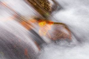 Herbstfarben Auvergne 06