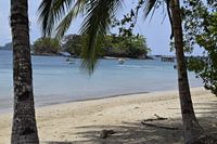 Vue sur la plage de l'île de Coiba
