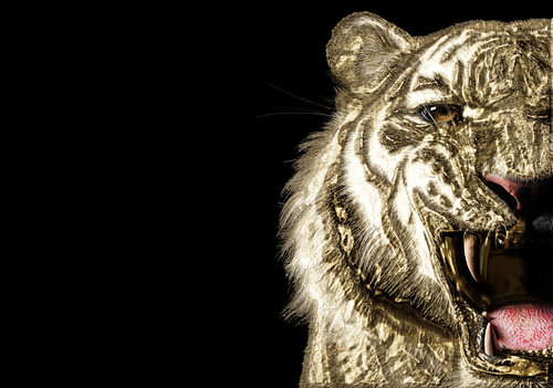 Un tigre rugissant en or