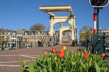 Skinny Bridge Amsterdam by Peter Bartelings