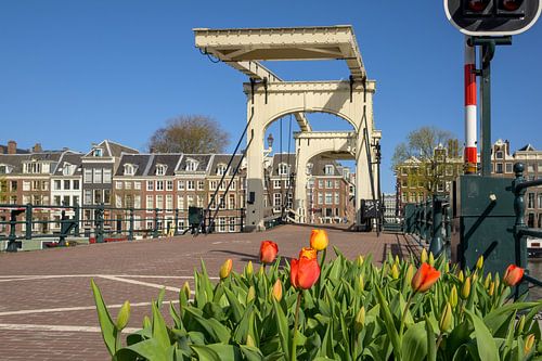 Skinny Bridge Amsterdam