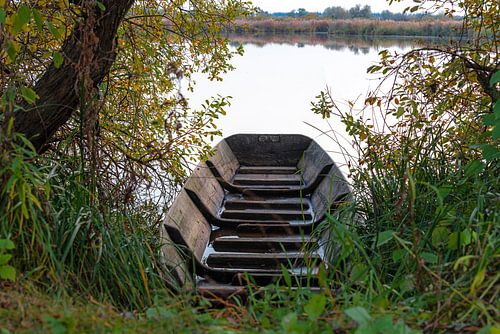 Bateau en bois entre l'herbe et les arbres devant un lac à contre-jour