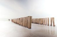 Pile series beach Burgh-Haamstede by Rick den Biggelaar thumbnail