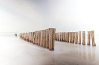Palenreeks strand Burgh-Haamstede