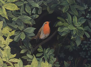 The Robin by Anonymous Art