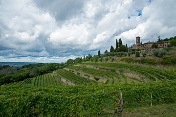 Wijnvelden in Toscane, Italië