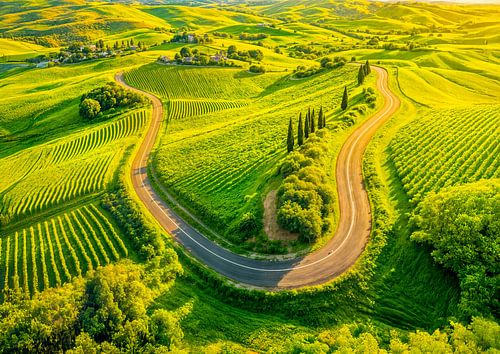 Des routes sinueuses à travers les vignobles et les cyprès