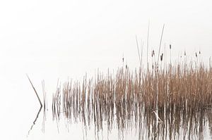 Haarlemmermeer-Wald