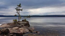 Relax by Hilbrand P