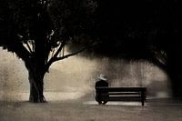 Man on bench