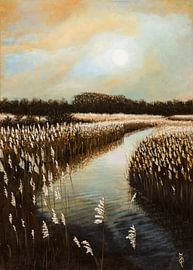 Kromsloot Park winter by Carolien Bol