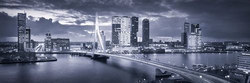 Skyline Rotterdam pont Erasmus - Bleu nuit
