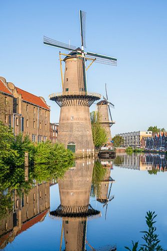 Windmill De Palmboom and De Noord in Schiedam