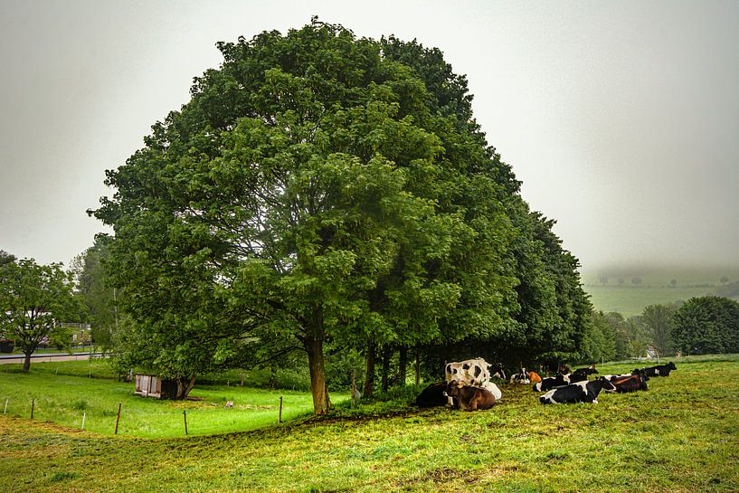 Landschap in het Erzgebergte van Johnny Flash