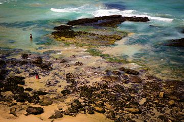 Nager à Coogee sur Anton Engelsman