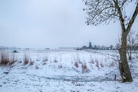 Molen in sneeuwlandschap von Moetwil en van Dijk - Fotografie