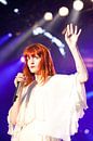 Florence And The Machine par Wim Demortier Aperçu