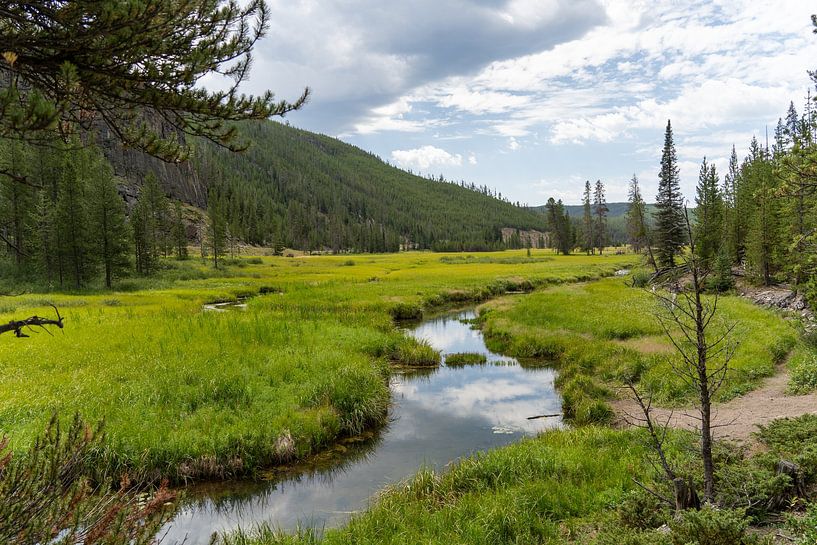 Fluss in einem Tal im Yellowstone-Nationalpark, USA von Jeroen van Deel