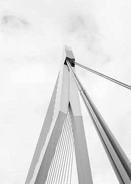 Detail Erasmusbrug in de wolken | Architectuur Rotterdam