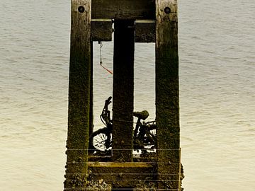 Fiets van Stef De Vos
