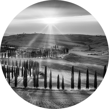 Toscaans landschap in Italië in zwart-wit. van Manfred Voss, Schwarz-weiss Fotografie