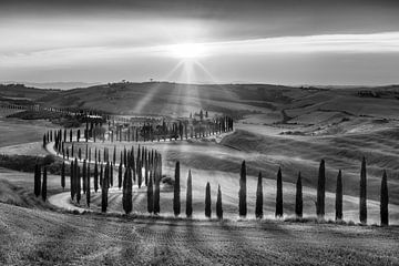 Toscaans landschap in Italië in zwart-wit. van Manfred Voss, Schwarz-weiss Fotografie