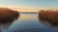 Zuidlaardermeer Kropswolde van Marga Vroom thumbnail