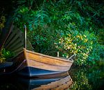Boot langs de waterkant von Matthijs Noordeloos Miniaturansicht