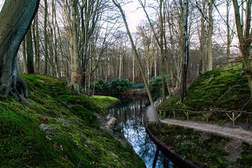 Bos in Elswout met een sprookjesachtige sfeer van Kingkev fotografie