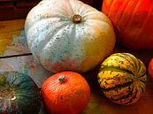 Sumptuous Squash by Dorothy Berry-Lound thumbnail