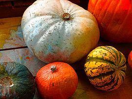 Sumptuous Squash by Dorothy Berry-Lound